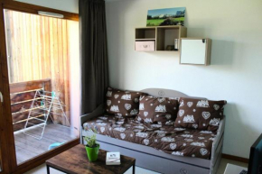 Les Chalets De Superd Dauphinelle - APPARTEMENT 10 PERSONNES EXPO SUD BALCON MAE-8314